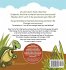 Toby the Turtle - Bild 2