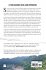 Between the Great Divide - Bild 2