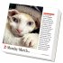 365 Cats Page-A-Day® Calendar 2026 - Bild 2