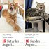 365 Cats Page-A-Day® Calendar 2026 - Bild 3