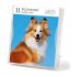 Dog Page-A-Day® Gallery Calendar 2026 - Bild 2