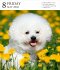 Dog Page-A-Day® Gallery Calendar 2026 - Bild 5