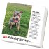 365 Dogs Page-A-Day® Calendar 2026 - Bild 2
