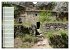 Abandoned Provence (Wall Calendar 2026... - Bild 14
