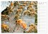 Süßes Gold: Imker, Bienen & Honig... - Bild 14