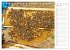 Süßes Gold: Imker, Bienen & Honig... - Bild 10
