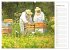 Süßes Gold: Imker, Bienen & Honig... - Bild 2