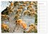 Süßes Gold: Imker, Bienen & Honig... - Bild 13