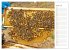 Süßes Gold: Imker, Bienen & Honig... - Bild 9