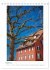 Thayngen (Tischkalender 2026 DIN A5... - Bild 14