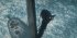 Flow - Bild 6