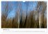 Abstrakte Naturerlebnisse - ICM... - Bild 3