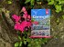 Reise Know-How Reiseführer Cornwall... - Bild 9