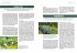 Gemüsegarten - einfach machen!  ... - Bild 7