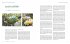 Das große Garten-Gemüse-Buch - Bild 7