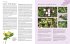 Das große Praxishandbuch Garten - Bild 6
