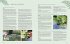 Das große Praxishandbuch Garten - Bild 8