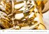 Blech-Instrumente - Musik-Kalender... - Bild 12