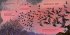 Flapp lernt fliegen - Bild 3
