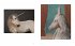 Unicorn - Bild 4