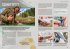 7vs.Wild - Der offizielle Survival-Guide - Bild 12