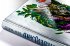Der Wald / Wilderland Bd.1 - Bild 9