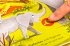Komm mit nach draußen! Wilde Tiere - Bild 8