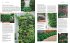 Gartendesign - Die große Enzyklopädie - Bild 7