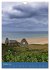 Impressionen aus der Normandie... - Bild 3