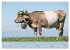 Allgäuer Rindvieh 2026 (Tischkalender... - Bild 3