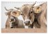 Allgäuer Rindvieh 2026 (Tischkalender... - Bild 7
