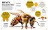 5-Minuten-Lernen Natur - Bild 11