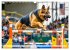 Schäferhund 24/7 - Keine Pause für... - Bild 13