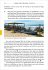 Portugal: Fischerweg von der Praia de... - Bild 6
