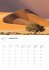 Namibia Broschürenkalender 2026 - Bild 2