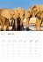 Namibia Broschürenkalender 2026 - Bild 5