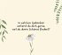 Lass dein Herz lachen - Inspirationen... - Bild 6
