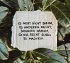 Lass dein Herz lachen - Inspirationen... - Bild 9