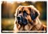 Leonberger - der zahme Löwe... - Bild 13