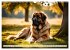 Leonberger - der zahme Löwe... - Bild 15