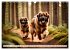 Leonberger - der zahme Löwe... - Bild 3