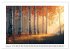 Birkenzauber (Wandkalender 2026 DIN A2... - Bild 3