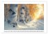 Birkenzauber (Wandkalender 2026 DIN A2... - Bild 5