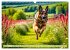 Deutscher Schäferhund - Inbegriff der... - Bild 12