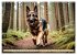 Deutscher Schäferhund - Inbegriff der... - Bild 4