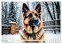 Deutscher Schäferhund - Inbegriff der... - Bild 7