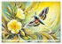 Schmetterlinge und ihre Blumenfreunde... - Bild 14