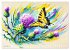Schmetterlinge und ihre Blumenfreunde... - Bild 4