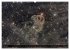 Deepsky XVIII (Wandkalender 2026 DIN A2... - Bild 12