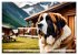 Gigant Bernhardiner (hochwertiger... - Bild 11